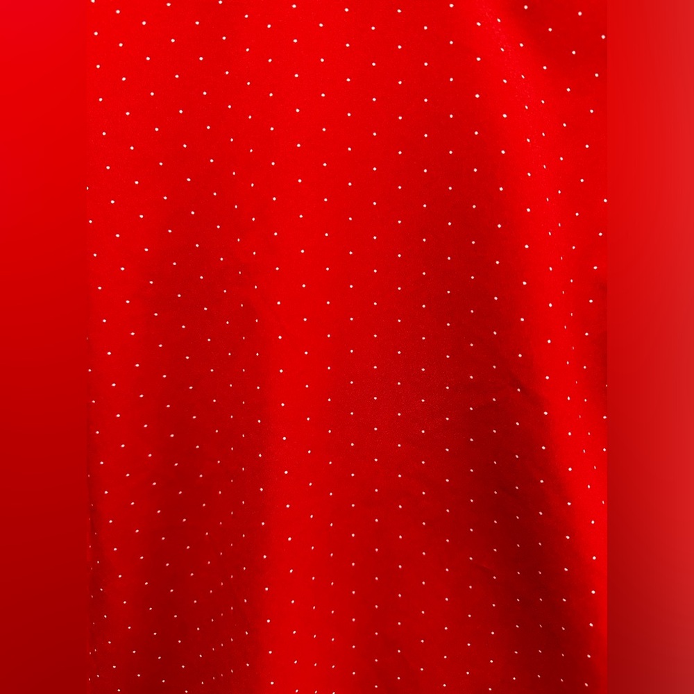 A New Day Red With White Polka Dot Blouse - Picture 2 of 7